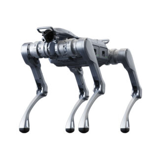robot tuần tra tự động
