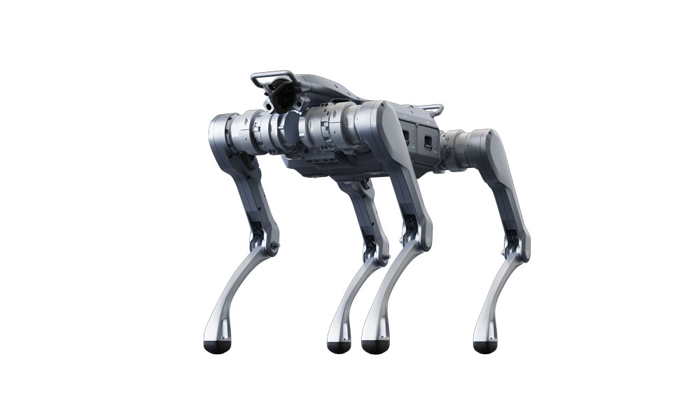 robot tuần tra tự động