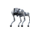 robot 4 chân go2