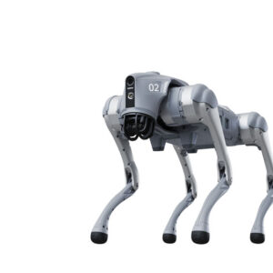 robot 4 chân go2